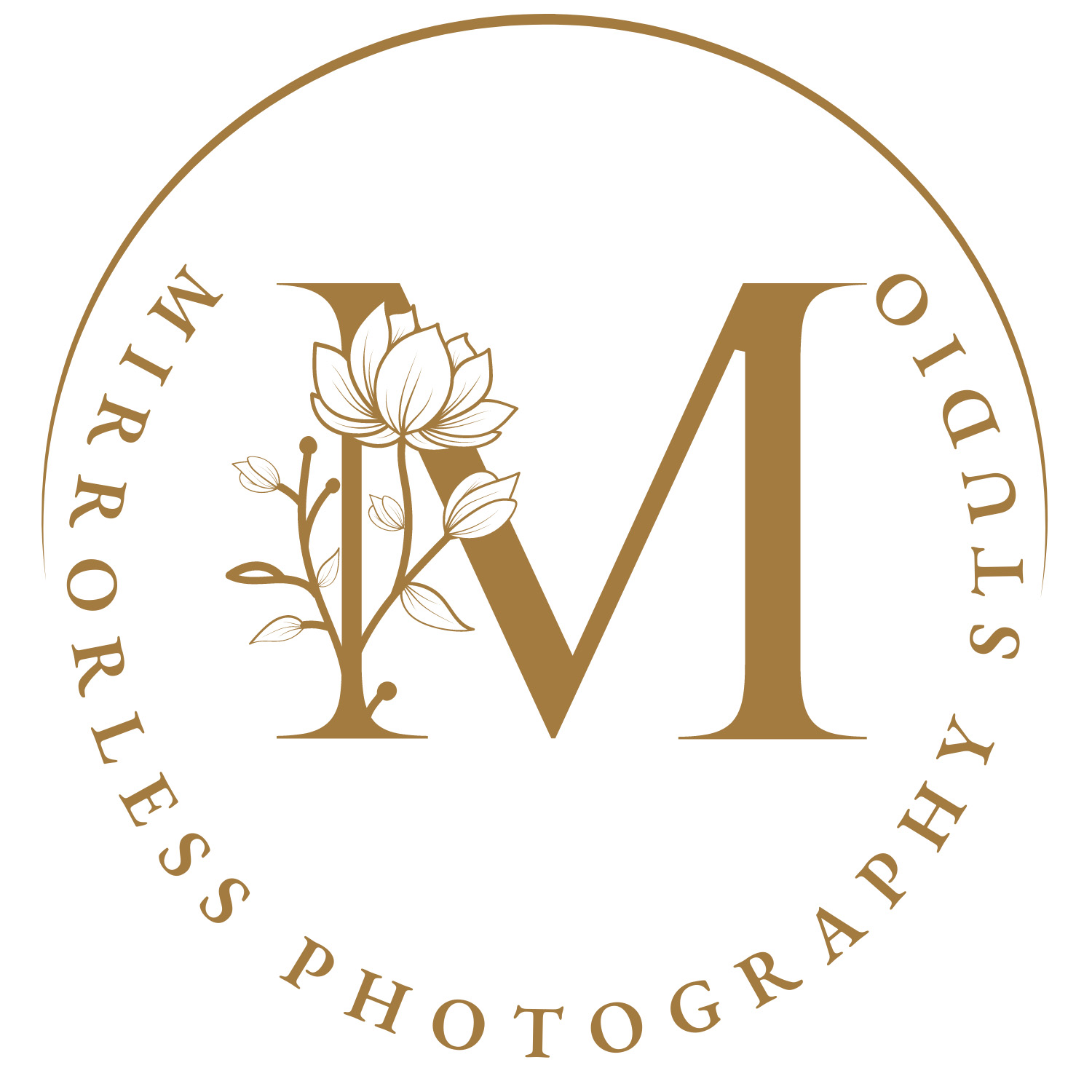 Mirrorless Photo Studio