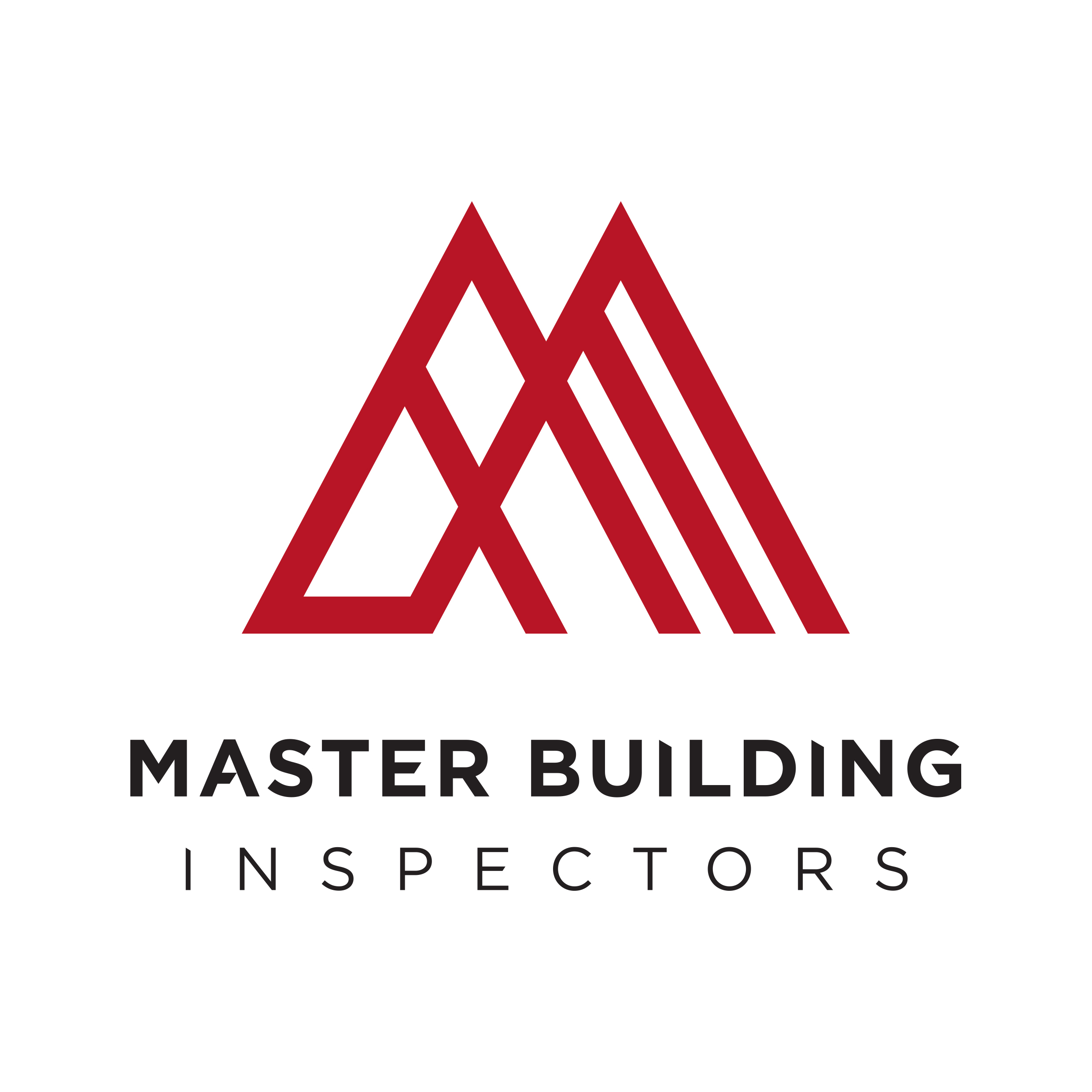 Master builders. Мастер Билдинг. Master building. Master build. Master building Group.