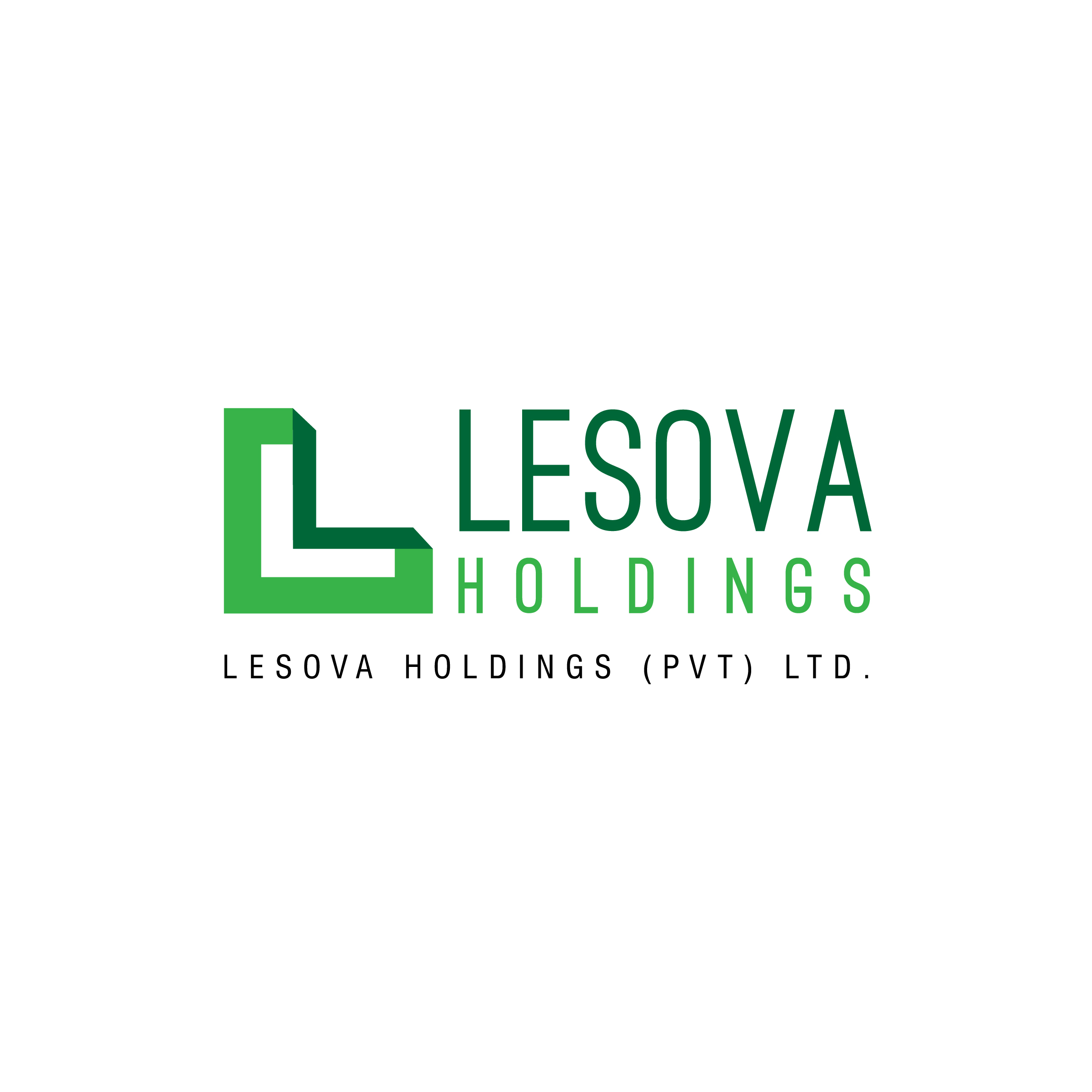 Lesova Holdings (PVT) LTD .