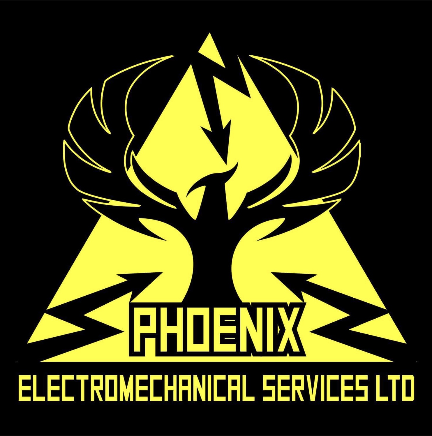 Phoenix Electromechanical Services Ltd