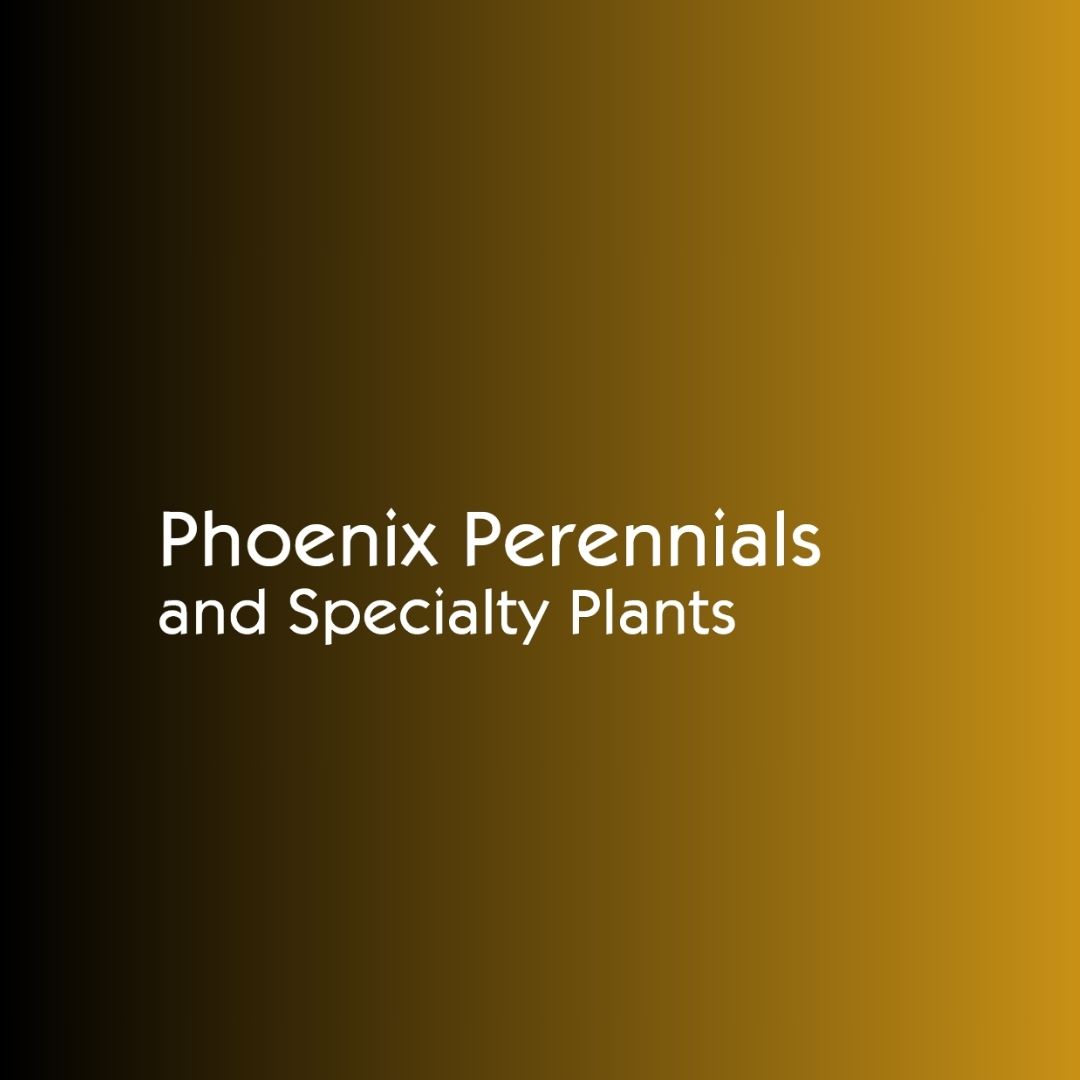 Pheonix Perennials Specialty Plants