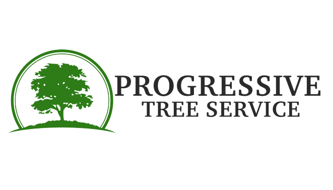 gbibp.com