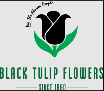 Black Tulip Flowers